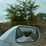 Cambria_0070 (November 04, 2017)